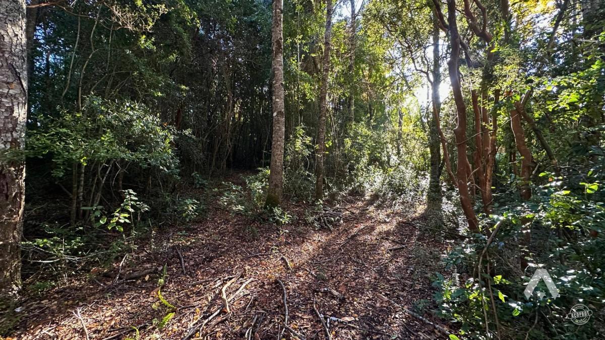 Parcela en venta Altos del Huife en Pucón