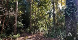 Parcela en venta Altos del Huife en Pucón