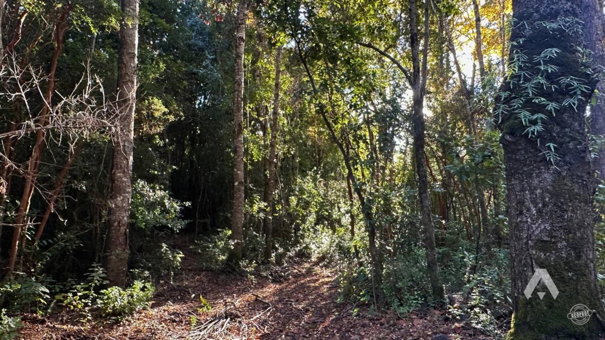 Parcela en venta Altos del Huife en Pucón