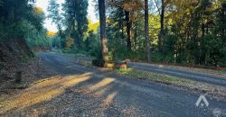 Parcela en venta Altos del Huife en Pucón