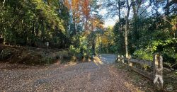 Parcela en venta Altos del Huife en Pucón