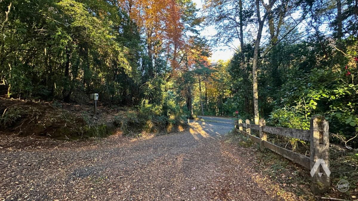 Parcela en venta Altos del Huife en Pucón