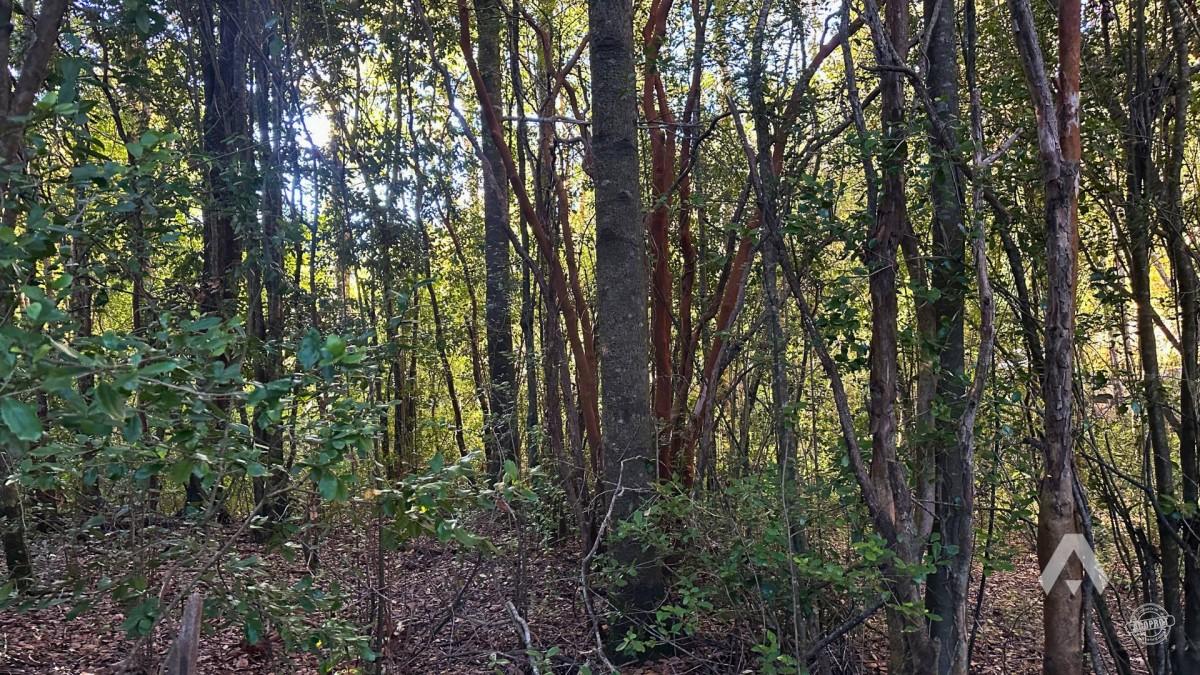 Parcela en venta Altos del Huife en Pucón