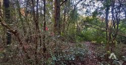 Parcela en venta Altos del Huife en Pucón