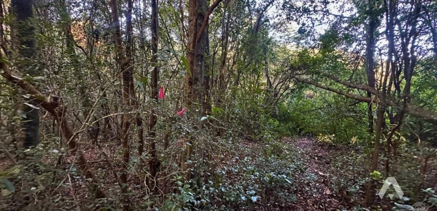 Parcela en venta Altos del Huife en Pucón