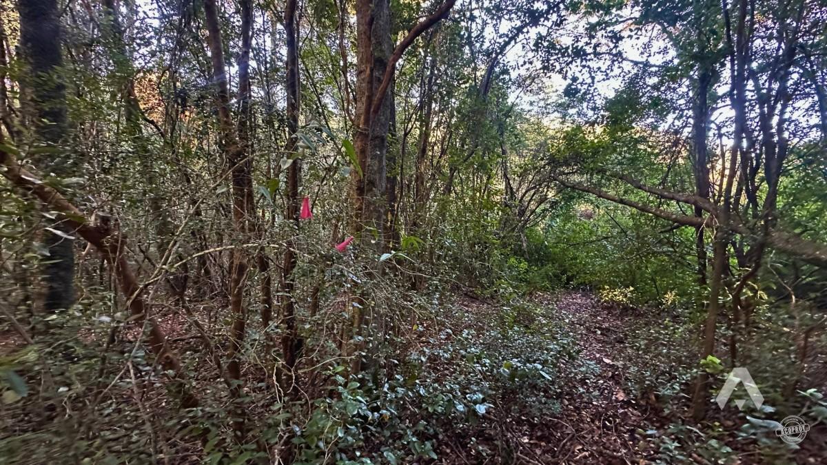 Parcela en venta Altos del Huife en Pucón