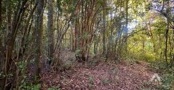 Parcela en venta Altos del Huife en Pucón