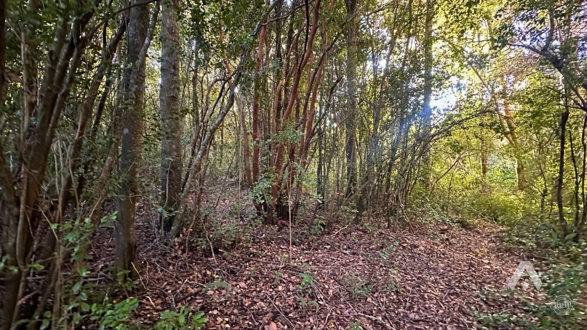 Parcela en venta Altos del Huife en Pucón