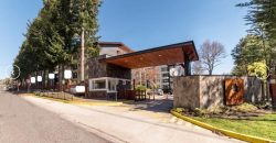 SE VENDE DEPARTAMENTO EN CONDOMINIO ROBLES DEL VOLCÁN EN PUCON