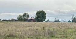 SE VENDE PARCELA SECTOR LA CHISPA