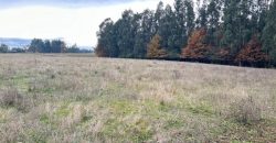 SE VENDE PARCELA SECTOR LA CHISPA