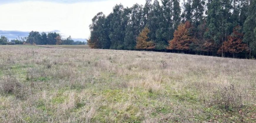 SE VENDE PARCELA SECTOR LA CHISPA