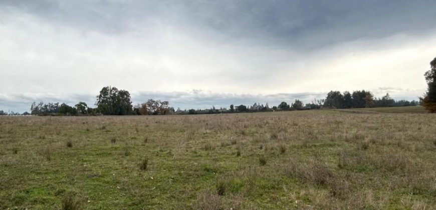 SE VENDE PARCELA SECTOR LA CHISPA