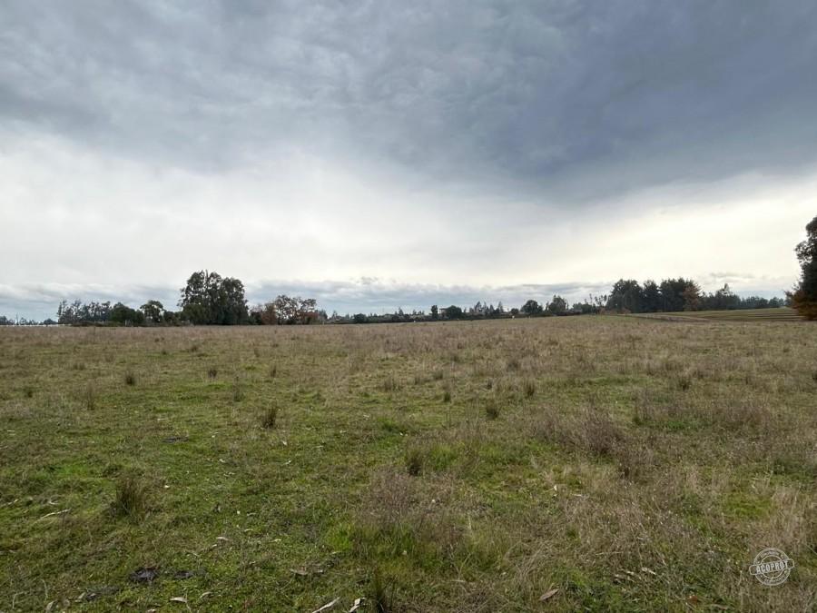 SE VENDE PARCELA SECTOR LA CHISPA