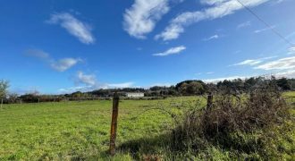 ¡Terreno 7.000m² Temuco Botrolhue!