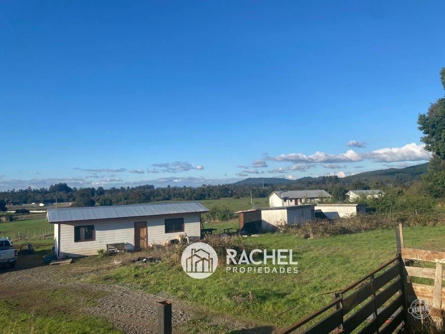 EN VENTA PARCELA DE 1 HA. CON 2 CASAS SECTOR PUMALAL