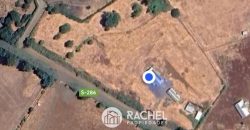 EN VENTA PARCELA DE 1 HA. CON 2 CASAS SECTOR PUMALAL