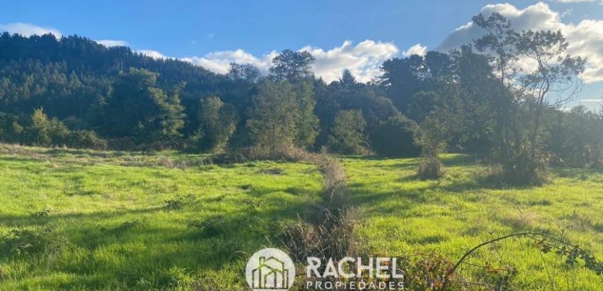 EN VENTA PARCELA DE 1 HA. CON 2 CASAS SECTOR PUMALAL