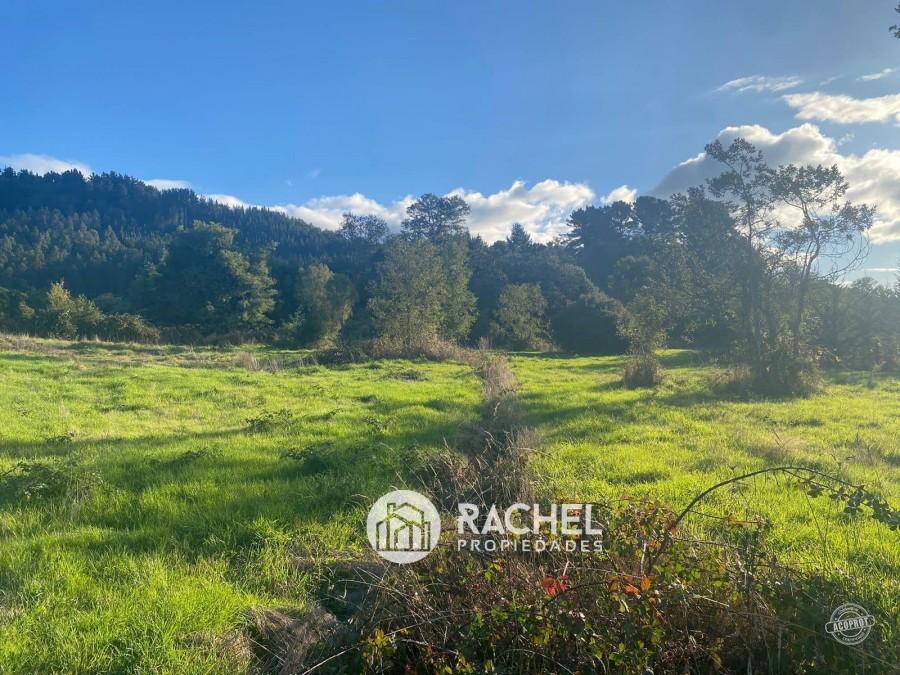 EN VENTA PARCELA DE 1 HA. CON 2 CASAS SECTOR PUMALAL