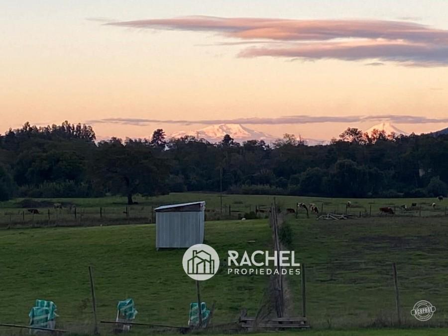 EN VENTA PARCELA DE 1 HA. CON 2 CASAS SECTOR PUMALAL