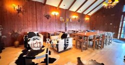 ESPECTACULAR TERRENO CON CASA CALLE TRIZANO – TEMUCO