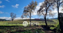 SE VENDE HERMOSA PARCELA EN TRANQUILA PARCELACIÓN CERRADA