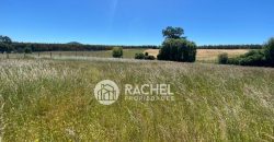 EN VENTA PARCELA SECTOR PUMALAL