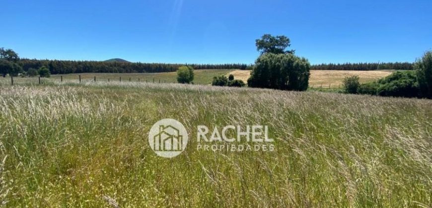 EN VENTA PARCELA SECTOR PUMALAL