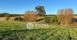 EN VENTA PARCELA SECTOR PUMALAL