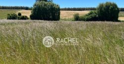 EN VENTA PARCELA SECTOR PUMALAL