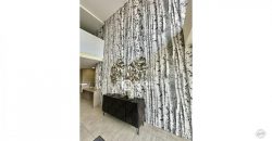 ARRIENDO AMPLIO Y LUMINOSO DPTO AMOBLADO DOS -K
