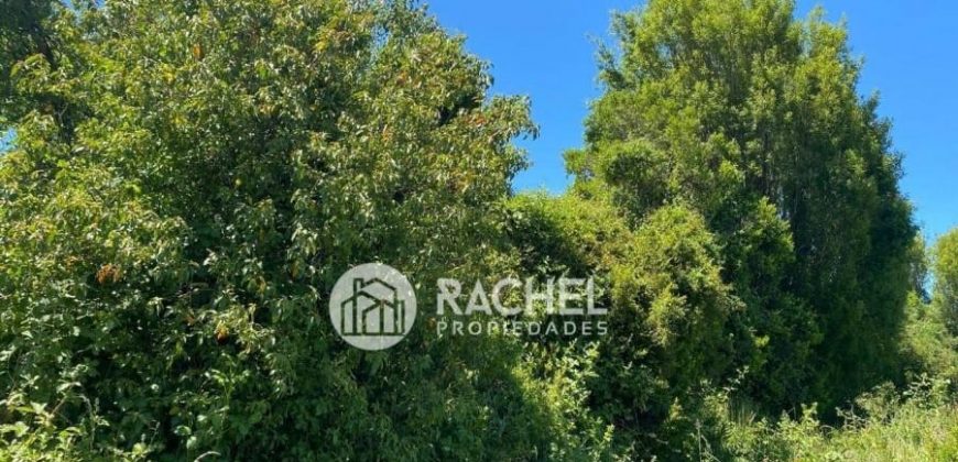EN VENTA PARCELA SECTOR PUMALAL