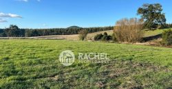 EN VENTA PARCELA SECTOR PUMALAL