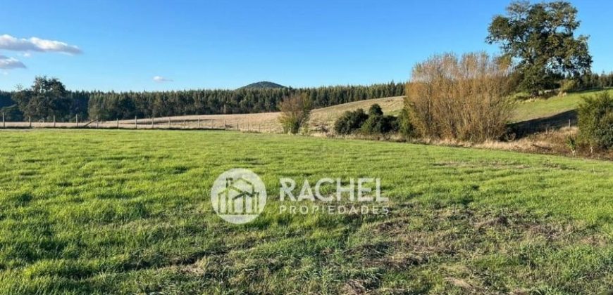 EN VENTA PARCELA SECTOR PUMALAL