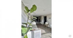 ARRIENDO AMPLIO Y LUMINOSO DPTO AMOBLADO DOS -K