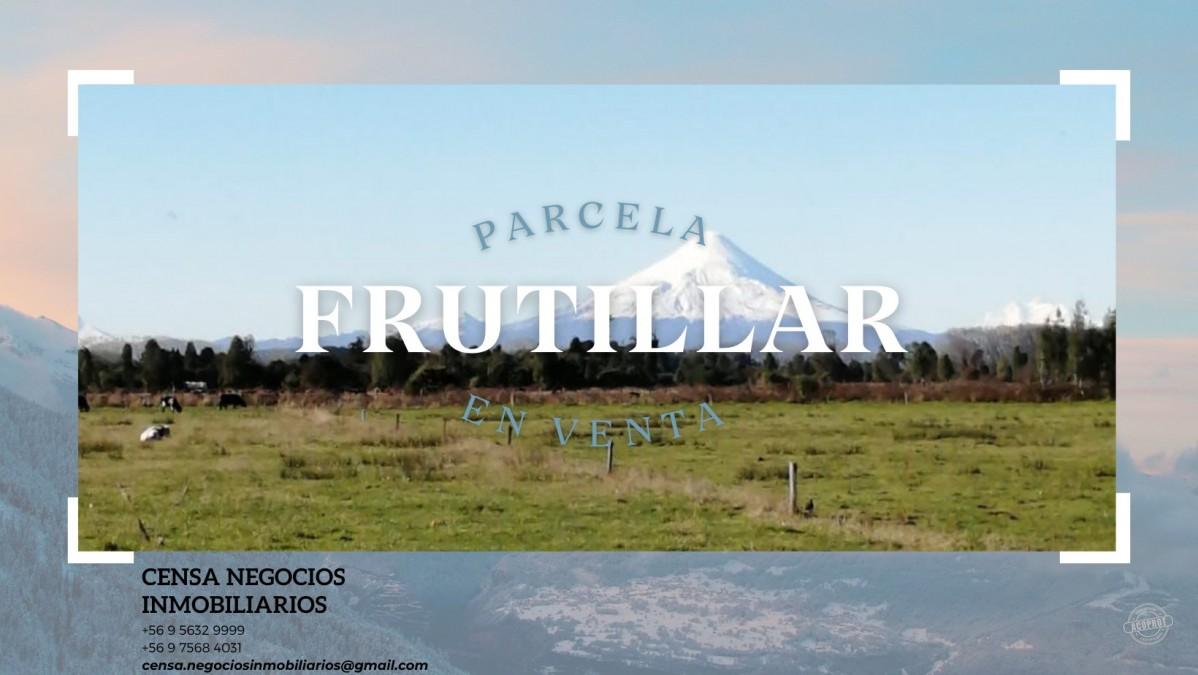 VENDO PARCELA EN PARCELAS DE FRUTILLAR -FRUTILLAR VENDO PARCELA EN PARCELAS DE FRUTILLAR -FRUTILLAR