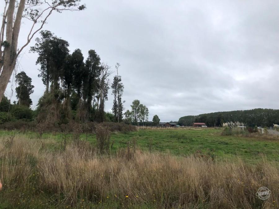 VENDO PARCELA EN PARCELAS DE FRUTILLAR -FRUTILLAR