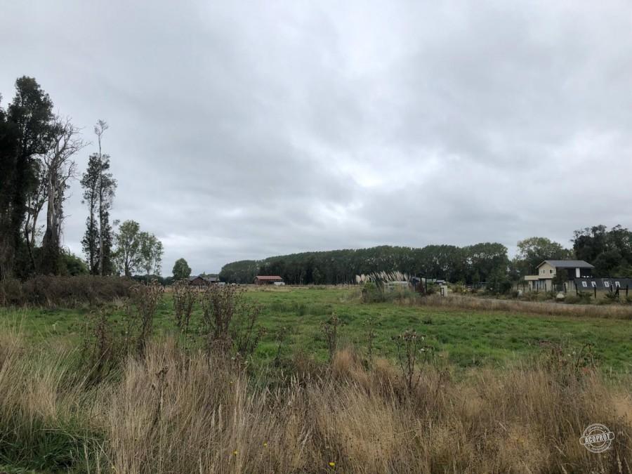 VENDO PARCELA EN PARCELAS DE FRUTILLAR -FRUTILLAR