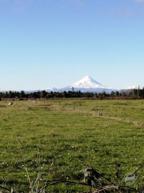 VENDO PARCELA EN PARCELAS DE FRUTILLAR -FRUTILLAR