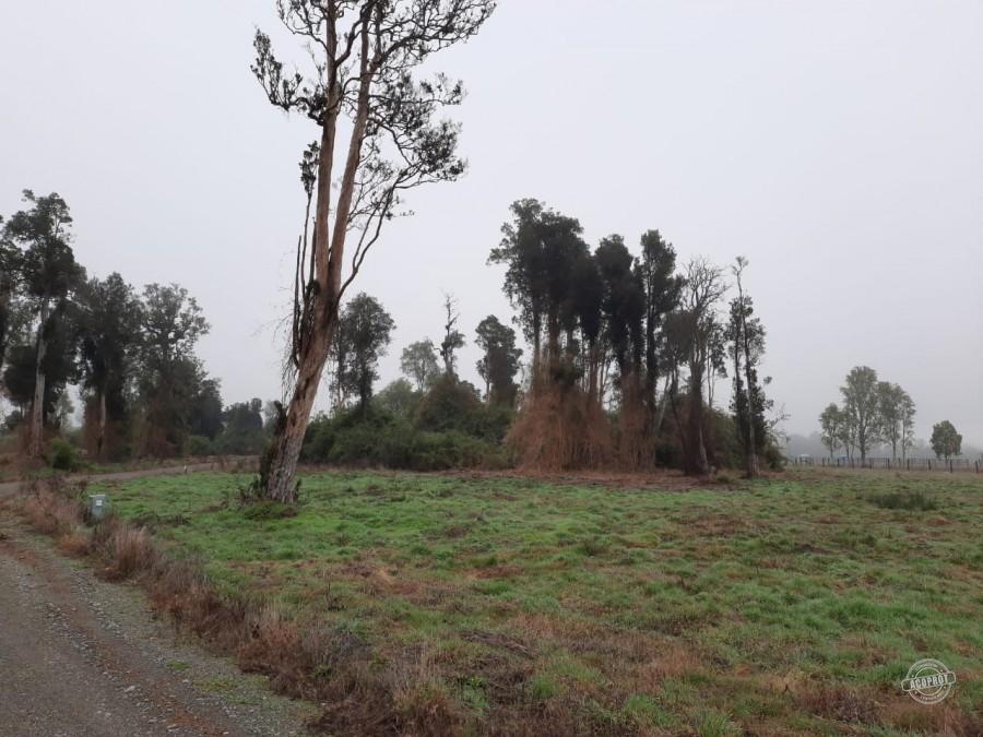 VENDO PARCELA EN PARCELAS DE FRUTILLAR -FRUTILLAR