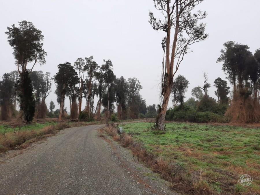 VENDO PARCELA EN PARCELAS DE FRUTILLAR -FRUTILLAR