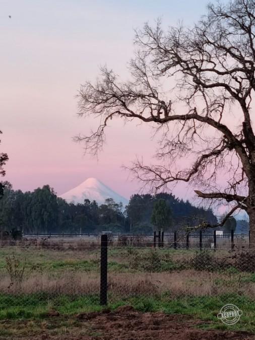 VENDO PARCELA EN PARCELAS DE FRUTILLAR -FRUTILLAR
