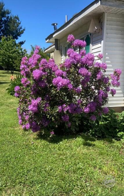 SE VENDE PARCELA DE AGRADO CON CASA HABITACIÓN A 10 KMS DE LA CIUDAD DE LAUTARO