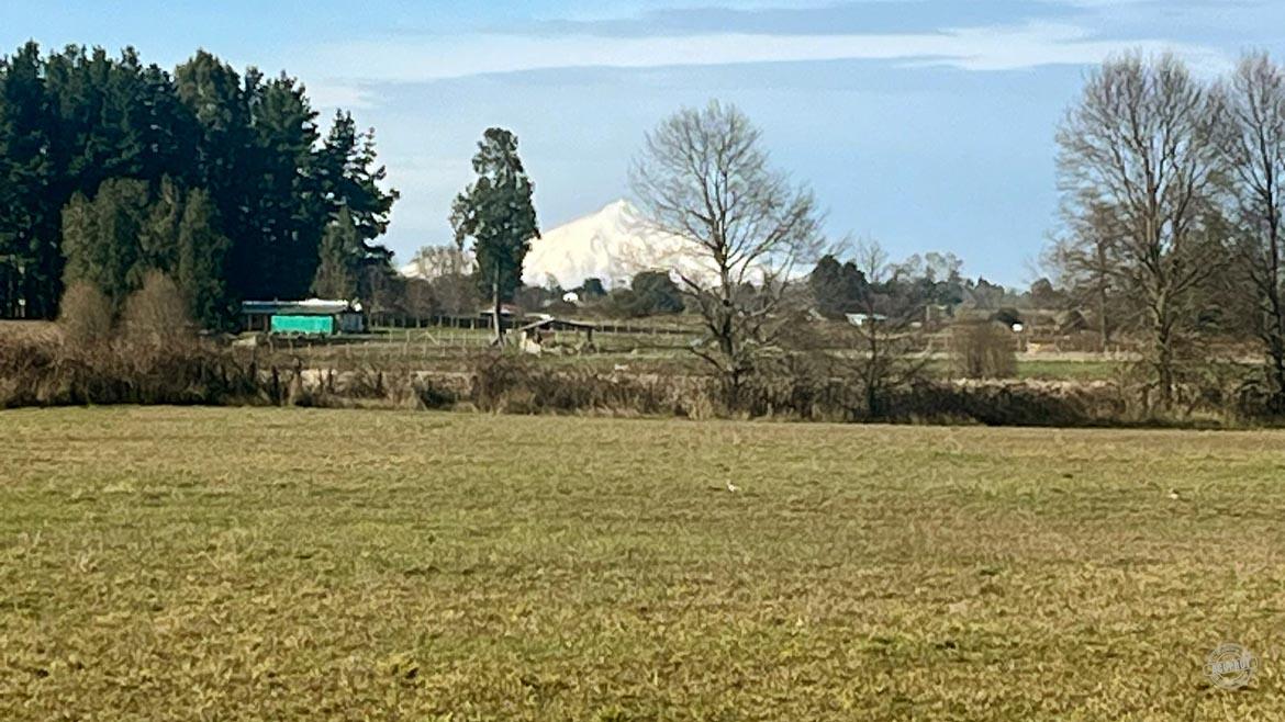 ¡Vendemos Parcela camino Huichahue! ¡Vendemos Parcela camino Huichahue!