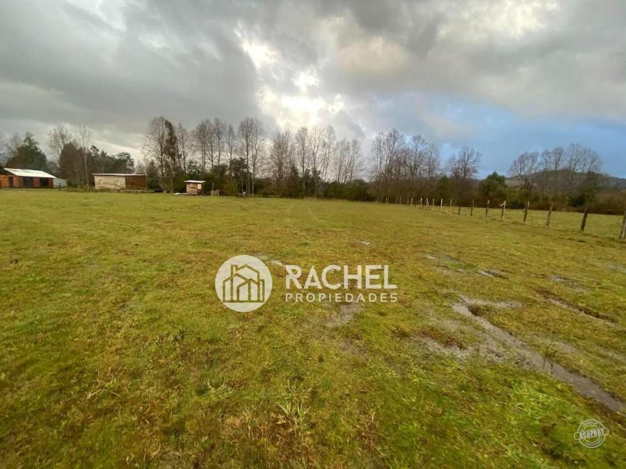 SE VENDE HERMOSA PARCELA EN SECTOR LA PEÑA– MALALHUE