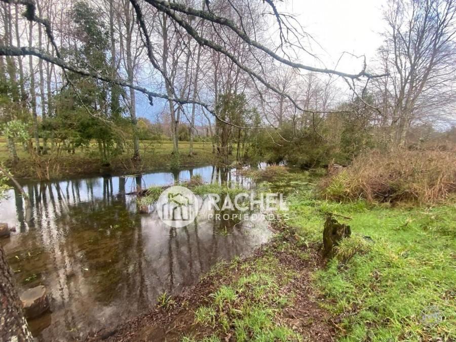 SE VENDE HERMOSA PARCELA EN SECTOR LA PEÑA– MALALHUE