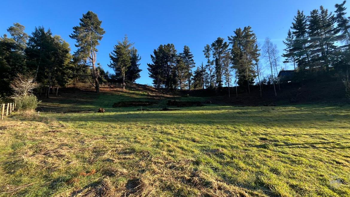 Vendemos hermosa Parcela sector banco estado camino a Botrolhue   Vendemos hermosa Parcela sector banco estado camino a Botrolhue
