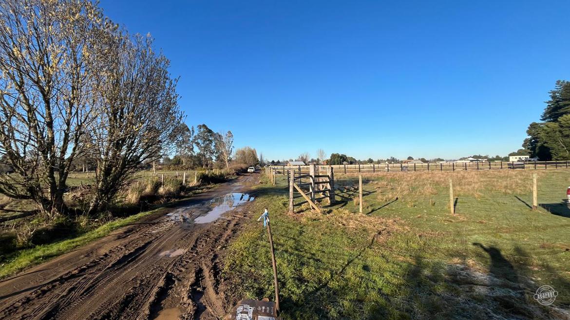 Vendemos hermosa Parcela sector banco estado camino a Botrolhue  