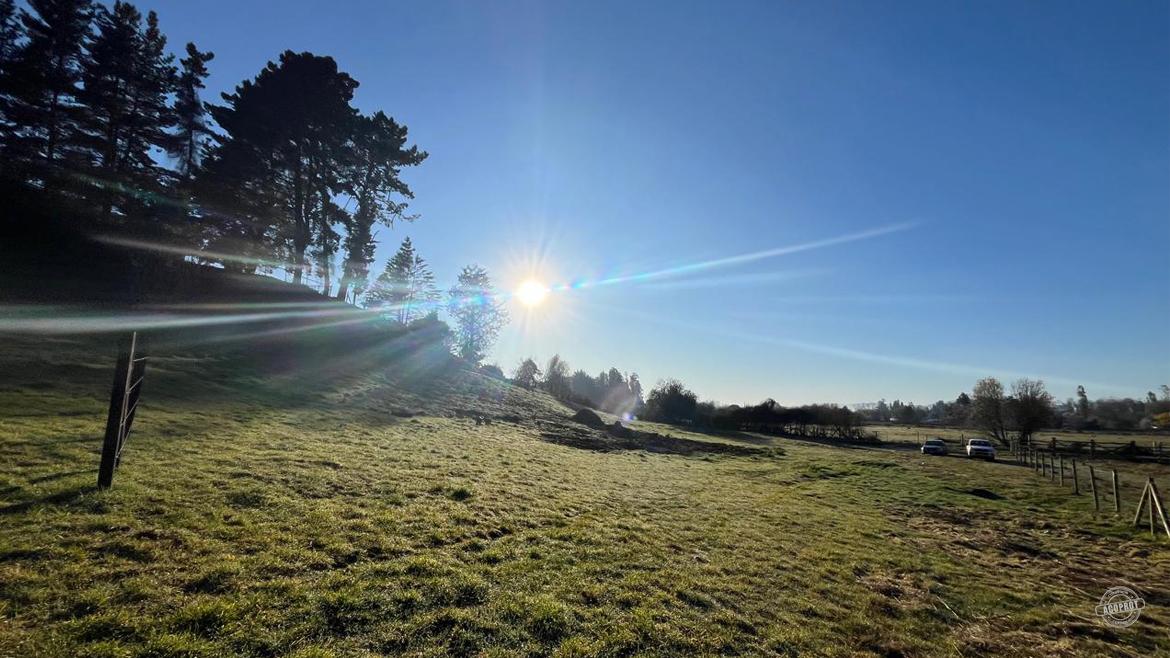 Vendemos hermosa Parcela sector banco estado camino a Botrolhue  