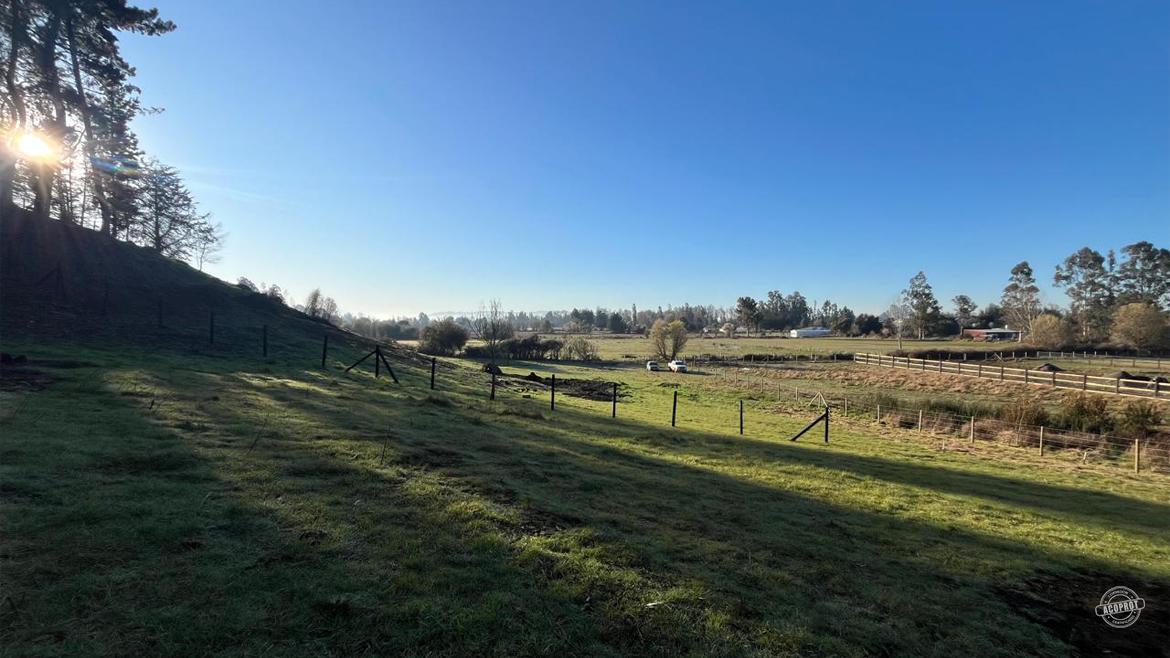 Vendemos hermosa Parcela sector banco estado camino a Botrolhue  